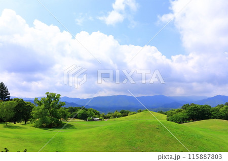 【香川県】国営讃岐まんのう公園（芝生広場と青空） 115887803