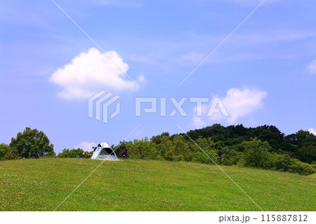 【香川県】国営讃岐まんのう公園（芝生広場と青空） 115887812