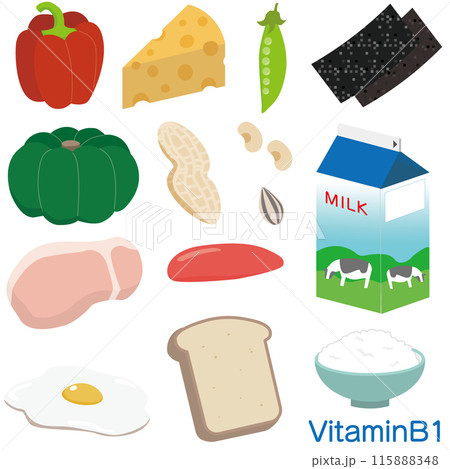 ビタミンB1を含む食材イラストセット 115888348