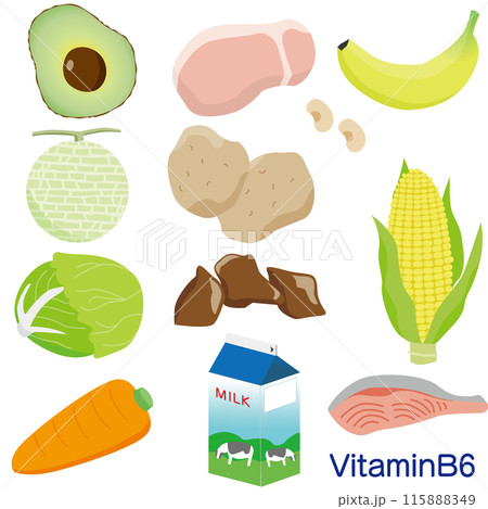ビタミンB6を含む食材イラストセット 115888349