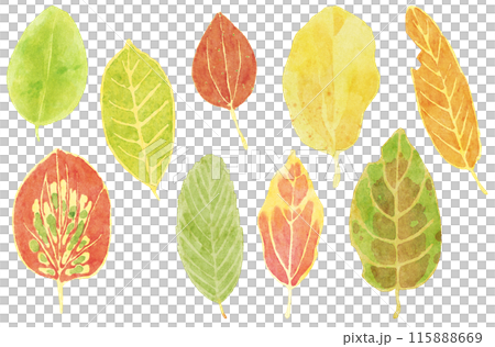 一組有趣圖案的落葉,水彩風格 一組有趣圖案的落葉,水彩風格 115888669