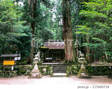 奈良・室生　龍が棲む龍穴神社 115888739