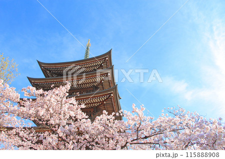 愛知県名古屋市、覚王山日泰寺五重塔と桜の風景 115888908