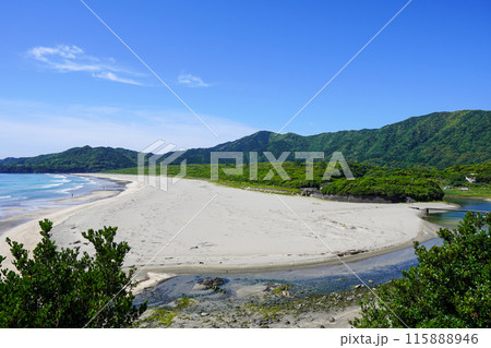 大岐の浜(高知県土佐清水市) 大岐の浜(高知県土佐清水市) 115888946