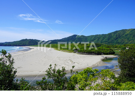大岐の浜(高知県土佐清水市) 大岐の浜(高知県土佐清水市) 115888950