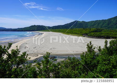 大岐の浜（高知県土佐清水市） 115888951