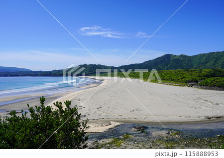 大岐の浜（高知県土佐清水市） 115888953
