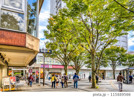 神奈川県横浜市の都市風景　洋光台駅 115889566