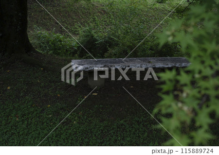 雨上がりで濡れた公園のベンチ 115889724