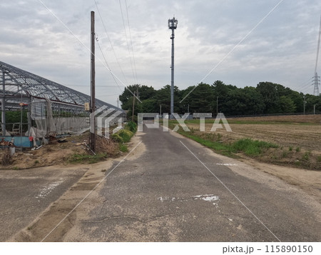 安城市 矢作川付近の景色 安城市 矢作川付近の景色 115890150