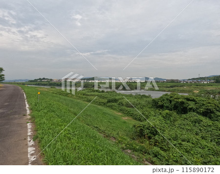安城市　矢作川付近の景色 115890172