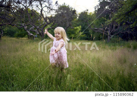 a toddler in a pink cloud of a dress runs like an airplane in the garden a toddler in a pink cloud of a dress runs like an airplane in the garden 115890362