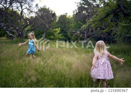little sisters in dresses playing together in the tall grass little sisters in dresses playing together in the tall grass 115890367
