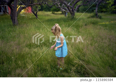 a  little girl holds out a bouquet of field herbs 115890384