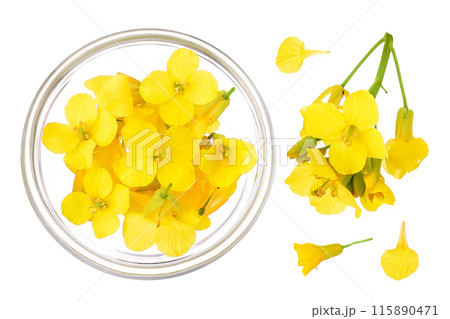 Rapeseed flowers in glass bowl isolated on white background, Top view. Flat lay 115890471