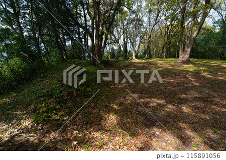 【重要伝統的建造物群保存地区】土居廓中 安芸城の一ノ段 高知県安芸市 【重要伝統的建造物群保存地区】土居廓中 安芸城の一ノ段 高知県安芸市 115891056