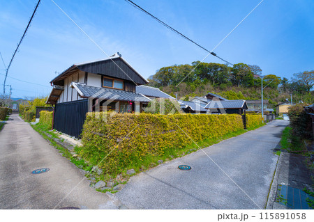 【重要伝統的建造物群保存地区】土居廓中　土用竹の生垣の街並みと安芸城跡　高知県安芸市 115891058