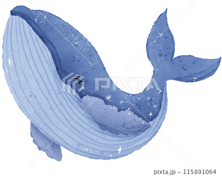Watercolor Hand drawn illustration underwater animals cute blue whale marine wild life children clip art for textile, decoration, posters, inviation, greeting cards 115891064