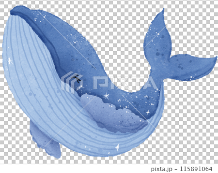 Watercolor Hand drawn illustration underwater animals cute blue whale marine wild life children clip art for textile, decoration, posters, inviation, greeting cards 115891064