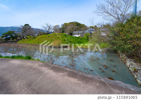 【重要伝統的建造物群保存地区】土居廓中　安芸土居の堀と虎口2　高知県安芸市 115891065