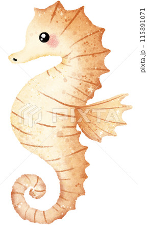 Watercolor Hand drawn illustration underwater animals cute seahorse marine wild life children clip art for textile, decoration, posters, inviation, greeting cards Watercolor Hand drawn illustration underwater animals cute seahorse marine wild life children clip art for textile, decoration, posters, inviation, greeting cards 115891071