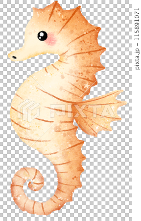 Watercolor Hand drawn illustration underwater animals cute seahorse marine wild life children clip art for textile, decoration, posters, inviation, greeting cards Watercolor Hand drawn illustration underwater animals cute seahorse marine wild life children clip art for textile, decoration, posters, inviation, greeting cards 115891071