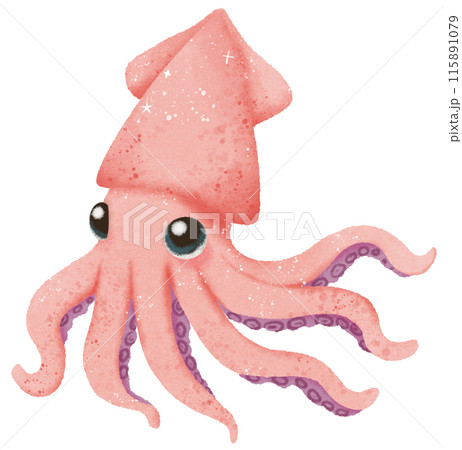 Watercolor Hand drawn illustration underwater animals cute squid marine wild life children clip art for textile, decoration, posters, inviation, greeting cards Watercolor Hand drawn illustration underwater animals cute squid marine wild life children clip art for textile, decoration, posters, inviation, greeting cards 115891079