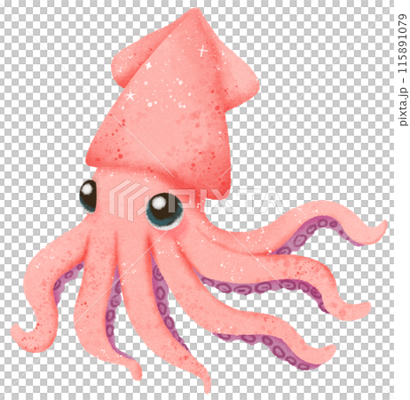 Watercolor Hand drawn illustration underwater animals cute squid marine wild life children clip art for textile, decoration, posters, inviation, greeting cards Watercolor Hand drawn illustration underwater animals cute squid marine wild life children clip art for textile, decoration, posters, inviation, greeting cards 115891079