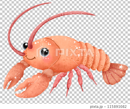Watercolor Hand drawn illustration underwater animals cute lobster shrimp prawn marine wild life children clip art for textile, decoration, posters, inviation, greeting cards Watercolor Hand drawn illustration underwater animals cute lobster shrimp prawn marine wild life children clip art for textile, decoration, posters, inviation, greeting cards 115891082