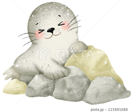 Watercolor Hand drawn illustration underwater animals Cute seal sitting on rocks marine wild life children clip art for textile, decoration, posters, inviation, greeting cards 115891088