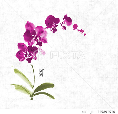 Minimalist ink wash painting with pink phalaenopsis orchid. Traditional oriental ink painting sumi-e, u-sin, go-hua. Translation of hieroglyph - orchid 115891510