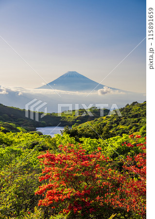 （静岡県）ツツジ咲く箱根玄岳から富士山の眺め　夕景 115891659