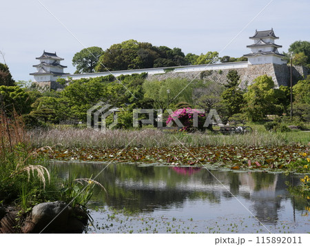明石公園の明石城跡 115892011