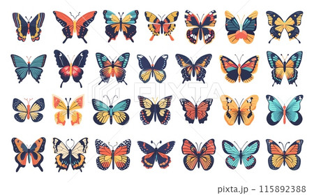 Cartoon Different Tropical Butterflies Set. Simple Style White Background Exotic Insects Colorful Wings Nature Wildlife Illustrations Butterfly Species Collection Vector Clipart 115892388