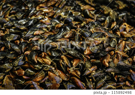 Fresh mussels sold at market, natural background 115892498