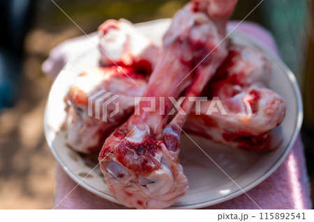 生肉の犬の餌　ゲンコツ 115892541