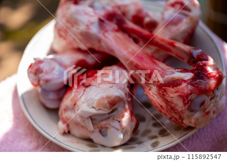 生肉の犬の餌　ゲンコツ 115892547