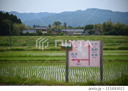 佐渡島　田園風景 115893021