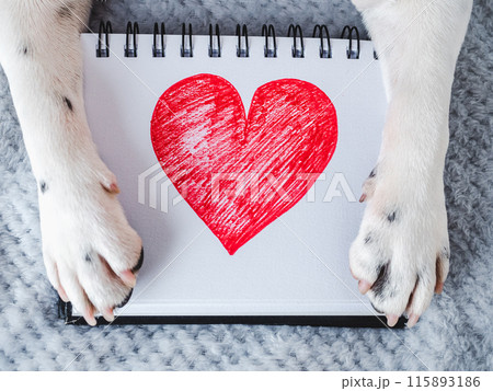 Beautiful drawing of a heart and dog paws 115893186