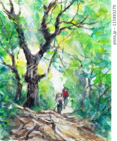 門内岳【丸森尾根コースを行く】 門内岳【丸森尾根コースを行く】 115893270