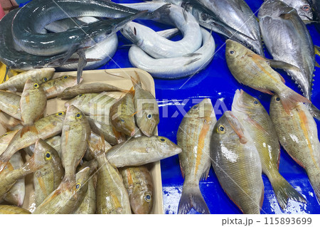 Fresh variety of fish at a fish market in Asia. Freshly caught fish. Market in the Philippines Fresh variety of fish at a fish market in Asia. Freshly caught fish. Market in the Philippines 115893699