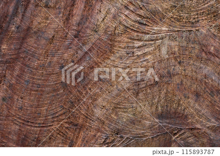 Cut mahogany close up. The texture of the tree on the cut Cut mahogany close up. The texture of the tree on the cut 115893787