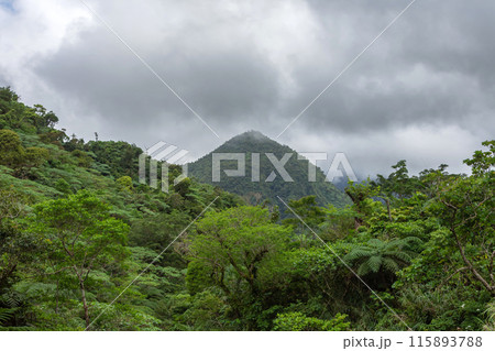 a lot of clouds over the mountain and jungle a lot of clouds over the mountain and jungle 115893788