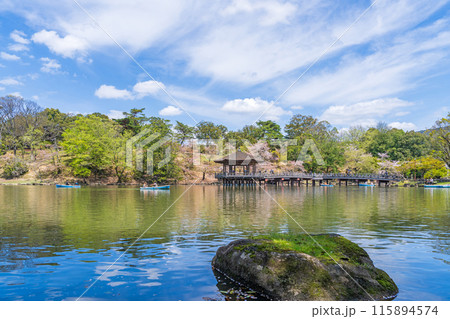 【桜】春の奈良公園 鷺池 浮見堂 【桜】春の奈良公園 鷺池 浮見堂 115894574