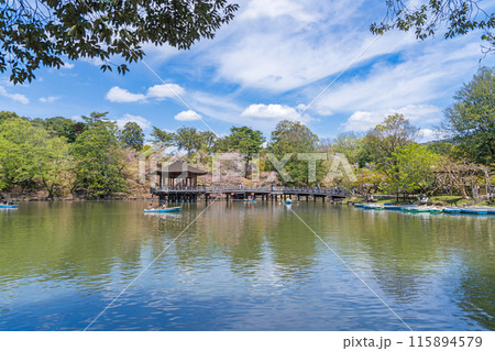 【桜】春の奈良公園 鷺池 浮見堂 【桜】春の奈良公園 鷺池 浮見堂 115894579