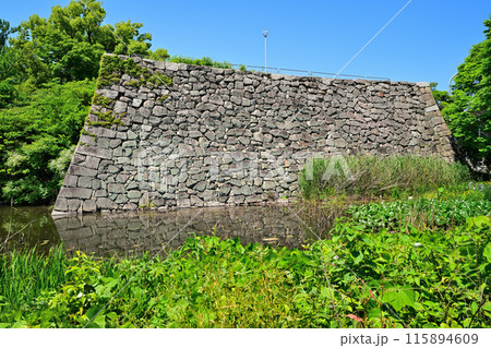 山城国「淀城」本丸の石垣と堀 山城国「淀城」本丸の石垣と堀 115894609
