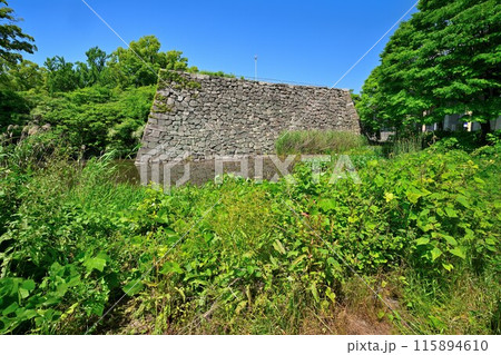 山城国「淀城」本丸の石垣と堀 山城国「淀城」本丸の石垣と堀 115894610