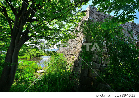 山城国「淀城」本丸の石垣と堀 山城国「淀城」本丸の石垣と堀 115894613