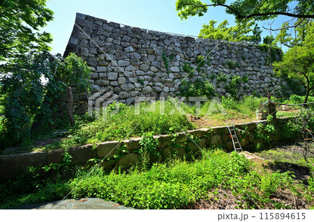 山城国「淀城」本丸の石垣と堀 山城国「淀城」本丸の石垣と堀 115894615