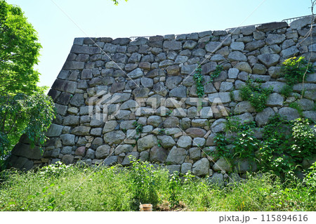 山城国「淀城」本丸の石垣と堀 115894616